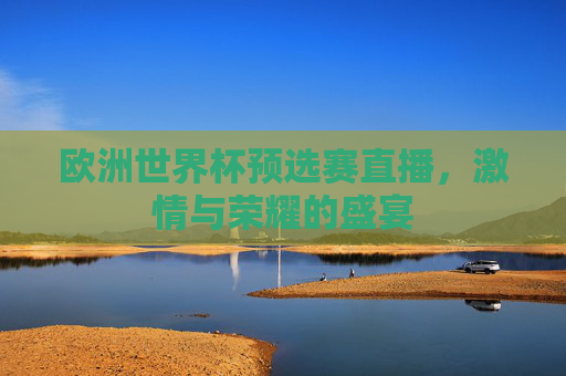 欧洲世界杯预选赛直播，激情与荣耀的盛宴