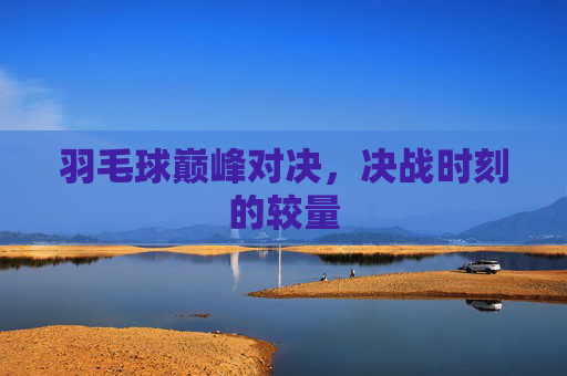 羽毛球巅峰对决,决战时刻的较量 羽毛球巅峰对决,决战时刻的较量