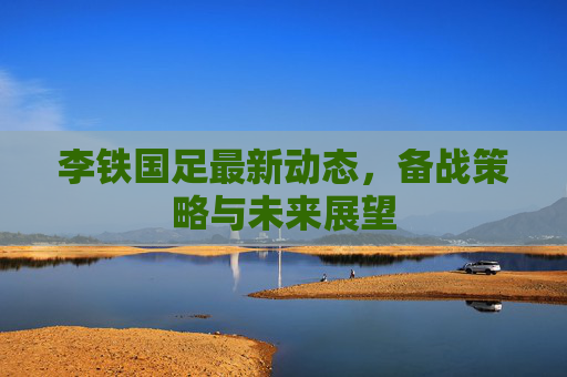 李铁国足最新动态，备战策略与未来展望