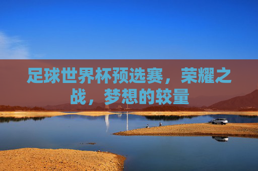 足球世界杯预选赛，荣耀之战，梦想的较量