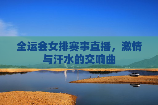 全运会女排赛事直播，激情与汗水的交响曲