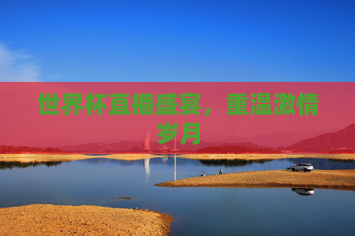世界杯直播盛宴，重温激情岁月