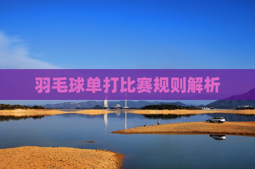 羽毛球单打比赛规则解析 羽毛球单打比赛规则解析