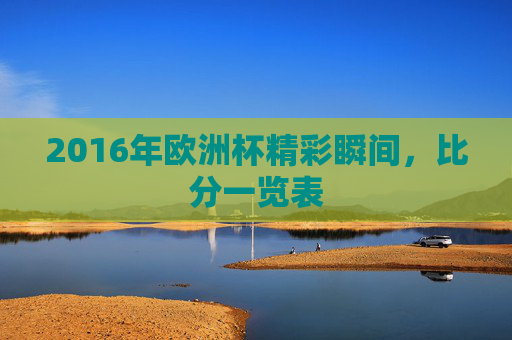 2016年欧洲杯精彩瞬间，比分一览表