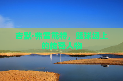 吉默·弗雷戴特,篮球场上的传奇人物 吉默·弗雷戴特,篮球场上的传奇人物