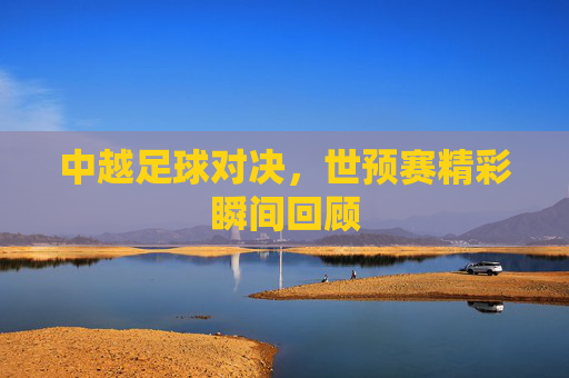 中越足球对决，世预赛精彩瞬间回顾
