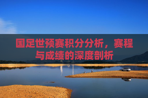 国足世预赛积分分析，赛程与成绩的深度剖析