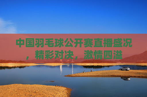 中国羽毛球公开赛直播盛况，精彩对决，激情四溢
