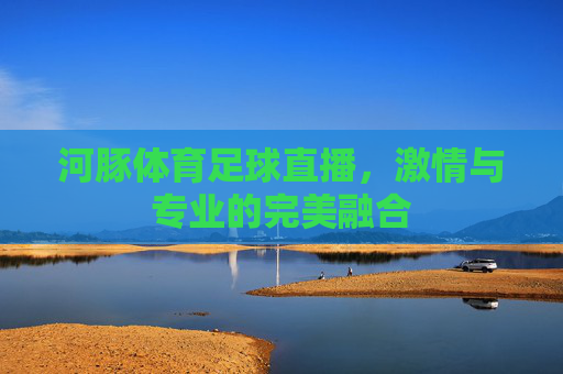 河豚体育足球直播,激情与专业的完美融合 河豚体育足球直播,激情与专业的完美融合