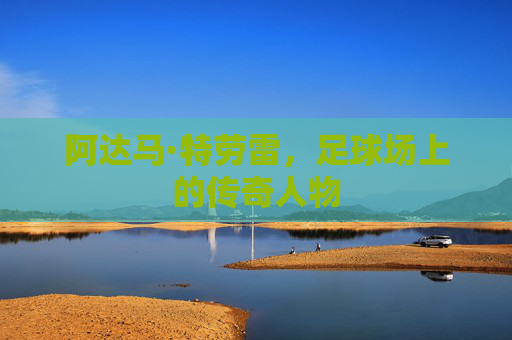 阿达马·特劳雷，足球场上的传奇人物