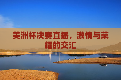 美洲杯决赛直播，激情与荣耀的交汇