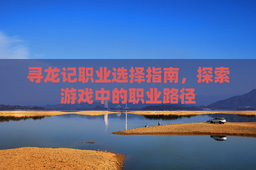寻龙记职业选择指南，探索游戏中的职业路径