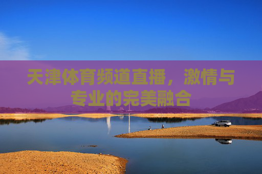 天津体育频道直播,激情与专业的完美融合 天津体育频道直播,激情与专业的完美融合