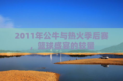 2011年公牛与热火季后赛,篮球盛宴的较量 2011年公牛与热火季后赛,篮球盛宴的较量