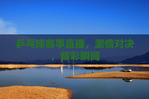乒乓球赛事直播，激情对决，精彩瞬间