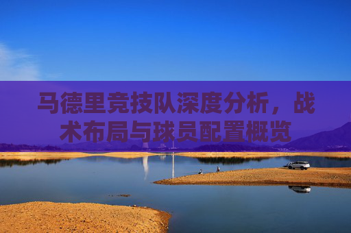 马德里竞技队深度分析，战术布局与球员配置概览