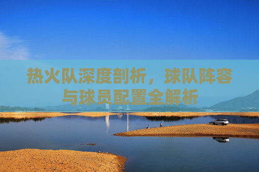热火队深度剖析,球队阵容与球员配置全解析 热火队深度剖析,球队阵容与球员配置全解析