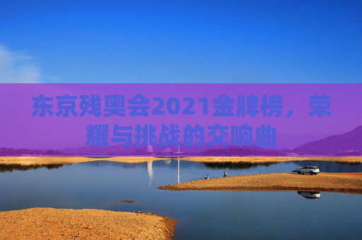 东京残奥会2021金牌榜，荣耀与挑战的交响曲
