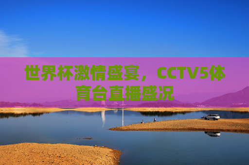 世界杯激情盛宴，CCTV5体育台直播盛况