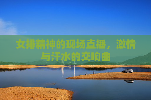 女排精神的现场直播，激情与汗水的交响曲