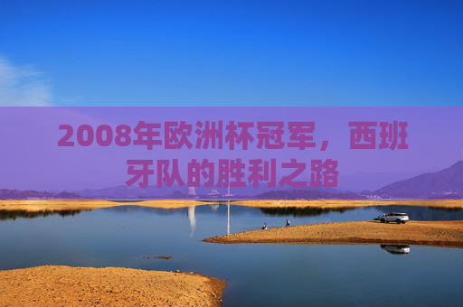 2008年欧洲杯冠军，西班牙队的胜利之路