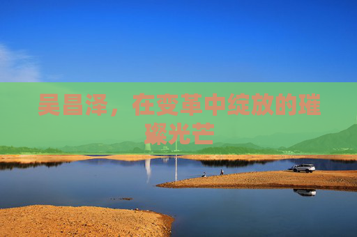 吴昌泽，在变革中绽放的璀璨光芒