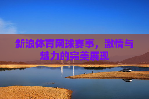 新浪体育网球赛事，激情与魅力的完美展现