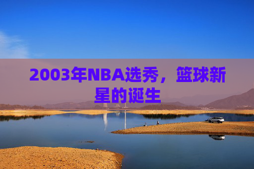 2003年NBA选秀,篮球新星的诞生 2003年NBA选秀,篮球新星的诞生