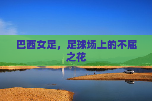 巴西女足,足球场上的不屈之花 巴西女足,足球场上的不屈之花