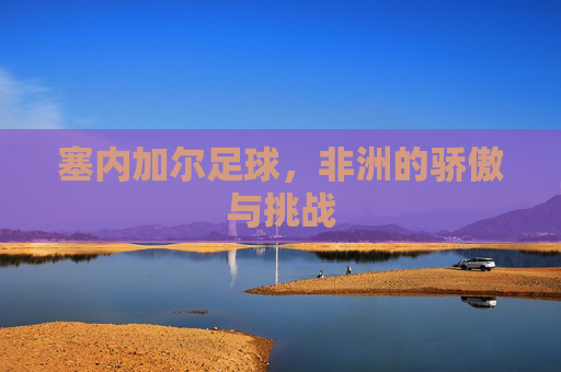 塞内加尔足球,非洲的骄傲与挑战 塞内加尔足球,非洲的骄傲与挑战