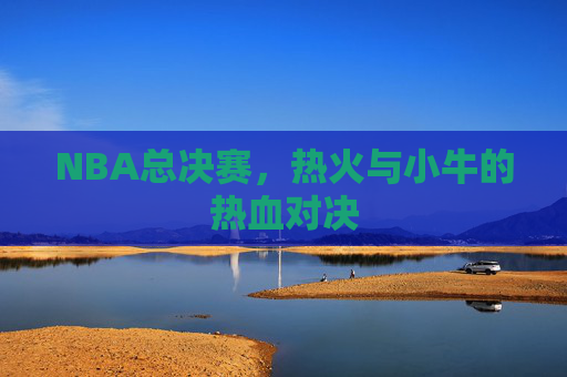 NBA总决赛，热火与小牛的热血对决