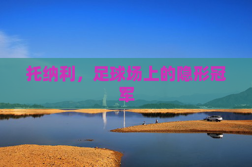 托纳利，足球场上的隐形冠军