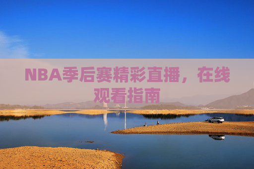 NBA季后赛精彩直播，在线观看指南