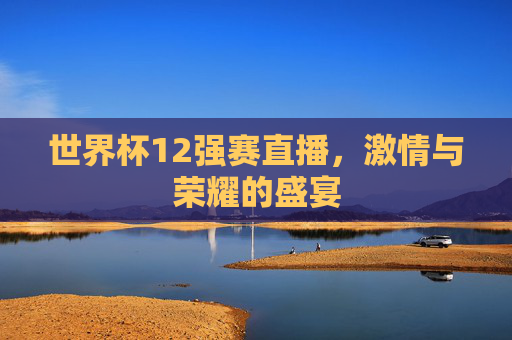 世界杯12强赛直播,激情与荣耀的盛宴 世界杯12强赛直播,激情与荣耀的盛宴