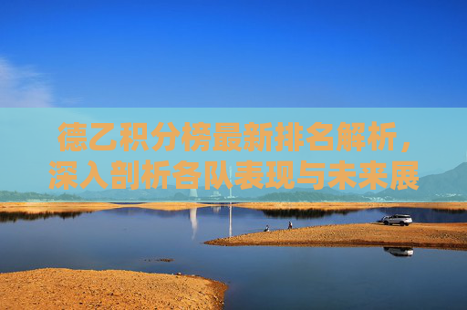 德乙积分榜最新排名解析，深入剖析各队表现与未来展望
