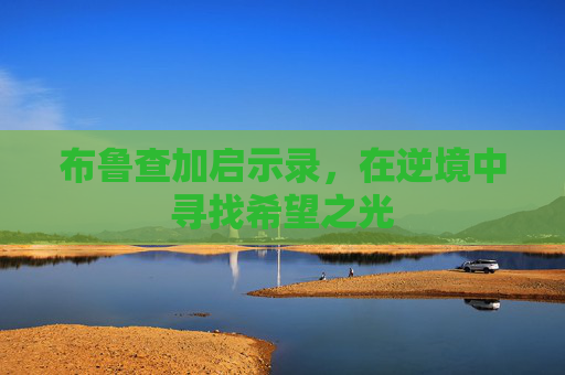 布鲁查加启示录，在逆境中寻找希望之光