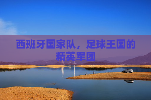 西班牙国家队，足球王国的精英军团