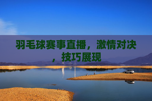 羽毛球赛事直播，激情对决，技巧展现
