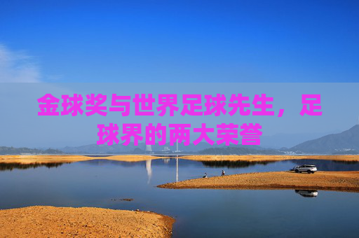 金球奖与世界足球先生，足球界的两大荣誉