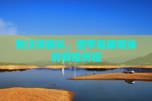 勒沃库森队,德甲璀璨明珠的辉煌历程 勒沃库森队,德甲璀璨明珠的辉煌历程
