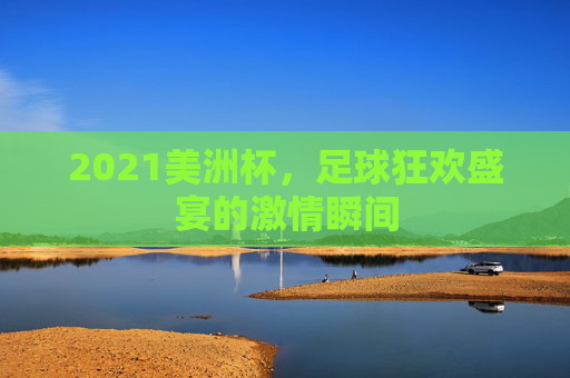 2021美洲杯，足球狂欢盛宴的激情瞬间