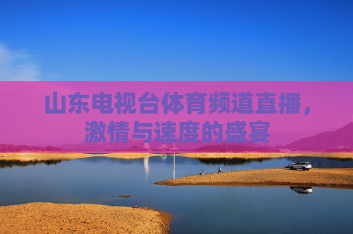 山东电视台体育频道直播,激情与速度的盛宴 山东电视台体育频道直播,激情与速度的盛宴