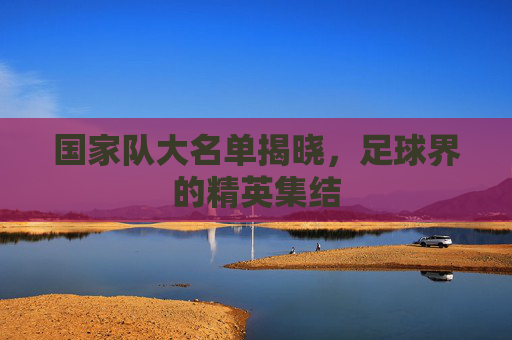 国家队大名单揭晓，足球界的精英集结