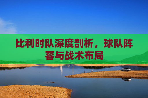 比利时队深度剖析,球队阵容与战术布局 比利时队深度剖析,球队阵容与战术布局