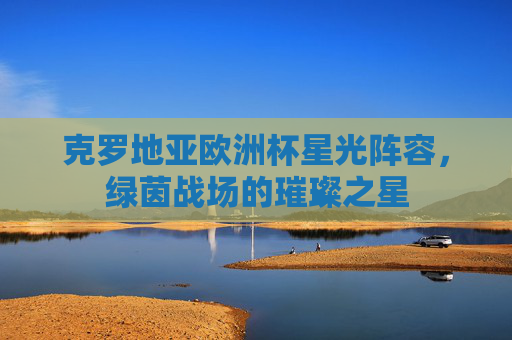 克罗地亚欧洲杯星光阵容，绿茵战场的璀璨之星