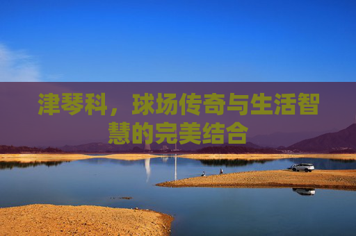 津琴科，球场传奇与生活智慧的完美结合