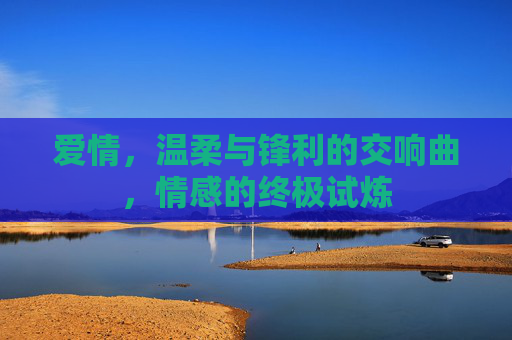 爱情，温柔与锋利的交响曲，情感的终极试炼