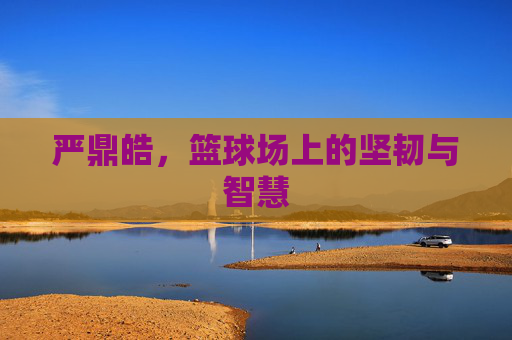 严鼎皓,篮球场上的坚韧与智慧 严鼎皓,篮球场上的坚韧与智慧