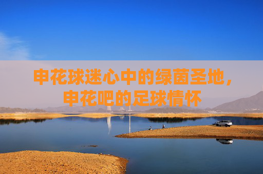 申花球迷心中的绿茵圣地，申花吧的足球情怀