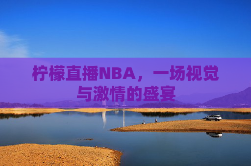 柠檬直播NBA,一场视觉与激情的盛宴 柠檬直播NBA,一场视觉与激情的盛宴